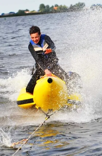Banaan varen